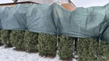 Фото покупателя