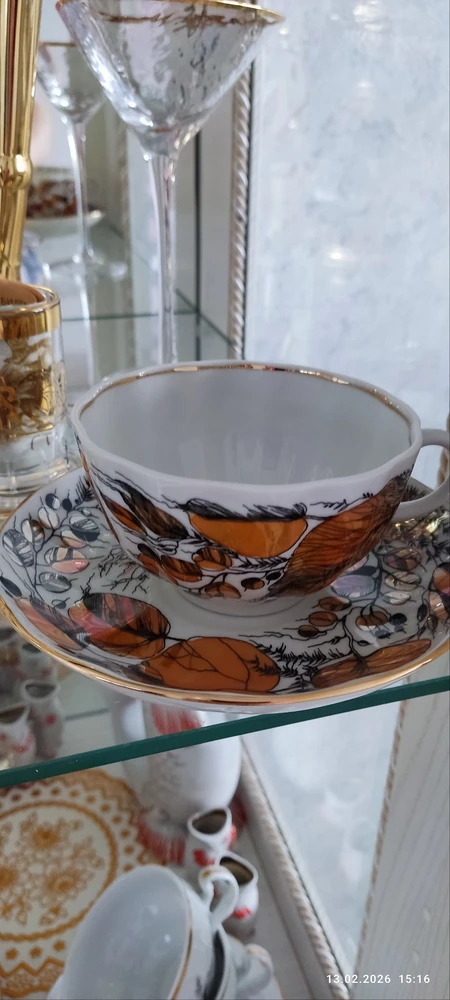 Дина отзыв от 15.02.2026