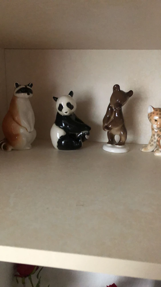 Нина отзыв от 26.02.2026