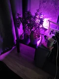 Фото из отзыва покупателя