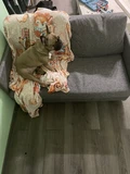 Фото из отзыва покупателя